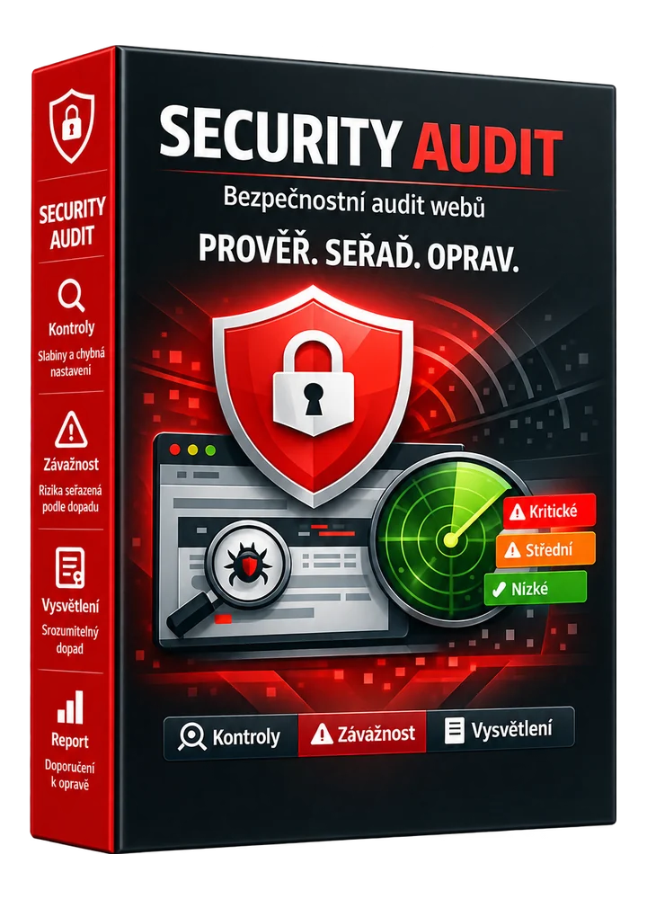 Security Audit SaaS
